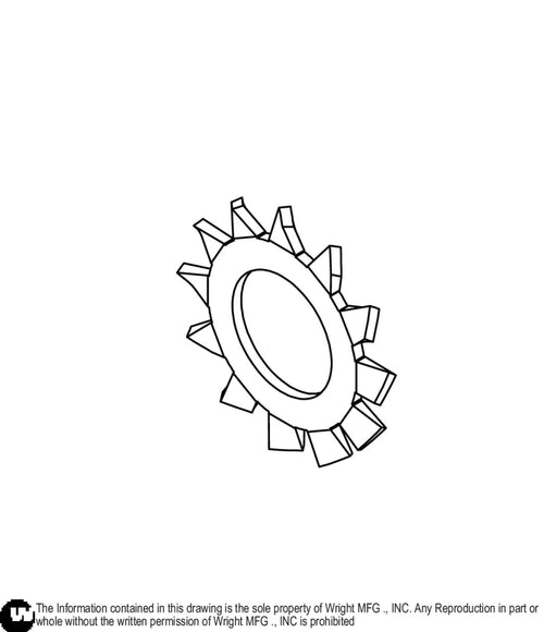 External Lock Washer 1/4 13990073 Default Title