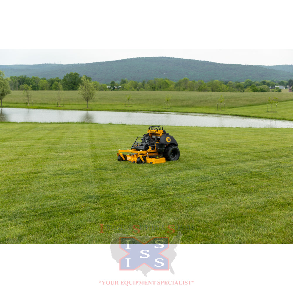 Wright Morris L'essence du visible Morris Grande Lantern - SK5034